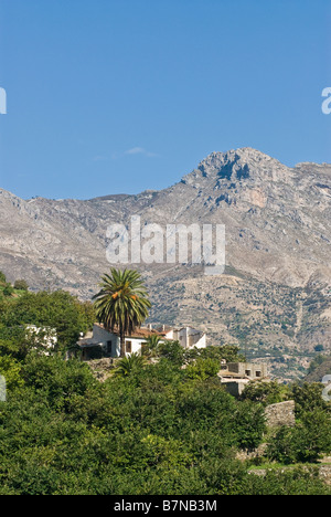 Cortijo im Valle Verde in der Nähe von Almunecar Andalusien Costa Tropical, Los Guajares Berge im Hintergrund Stockfoto