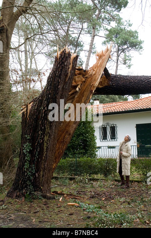Schäden, die durch die Klaus Sturm in Südwestfrankreich. Dégâts Causés par la Tempête Klaus Dans le Sud-Ouest De La France. Stockfoto