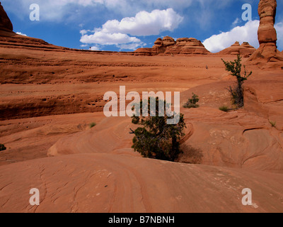 Szenen aus der Delicate Arch trail im Arches National Park in der Nähe von Moab, Utah. Stockfoto