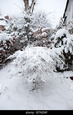 Blick auf s Gärten unter dem Schnee am 2. Februar 2009 die schwersten Schneefälle in London seit 18 Jahren Stockfoto