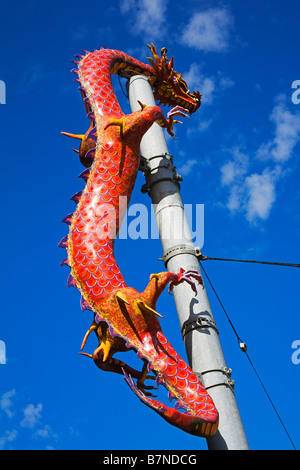 Drache auf Pole Chinatown International District Seattle Washington State USA Stockfoto