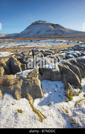 Schneebedeckte Ingleborough Hügel an einem sonnigen Wintern Morgen gesehen vom Bereich weiße Narben Ribblesdale Yorkshire Dales Stockfoto