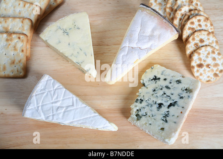Vier Gourmet-Käse mit Keksen auf einer Käseplatte Stockfoto