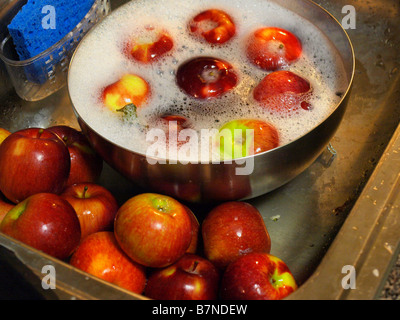 Frisch gepflückten Äpfel in eine Schüssel geben und Küche Spüle aus Edelstahl wird gewaschen und vorbereitet zum Essen oder kochen. Stockfoto