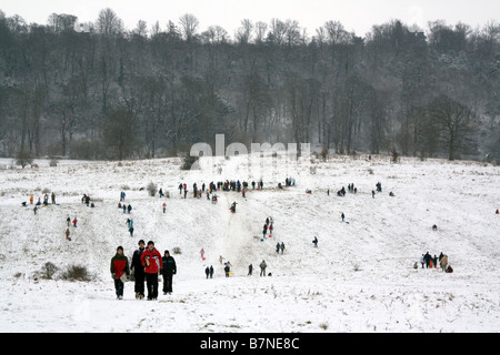 Tring Park - Hertfordshire Stockfoto