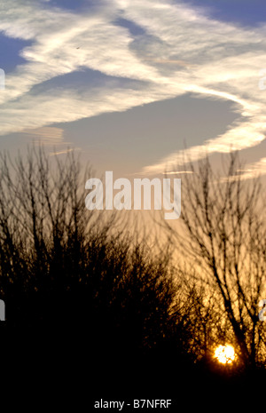 KONDENSSTREIFEN BILDEN EIN INTERESSANTES MUSTER ÜBER DEN MORGENHIMMEL IN WILTSHIRE UK Stockfoto