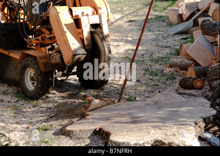 Stubbenfräse verwendet, um nach dem Baum entfernen Baumstümpfe entfernen Stockfoto