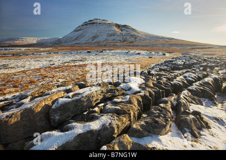 Schneebedeckte Ingleborough Hügel an einem sonnigen Wintern Morgen gesehen vom Bereich weiße Narben Ribblesdale Yorkshire Dales U.K Stockfoto