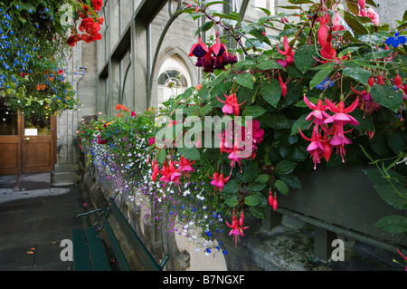 Blumen, darunter Fuchsia vor Eingang Inveraray Castle Sitz des Herzogs von Argyll Inveraray Schottland Stockfoto