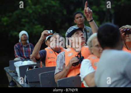 Touristen auf Fluss-Safari in malaysia Stockfoto