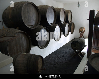 Weinfässer im Museum der landwirtschaftlichen Arbeiter durch lokale Künstler Cesar Manrique in San Bartolomé Lanzarote Kanarische Inseln Stockfoto