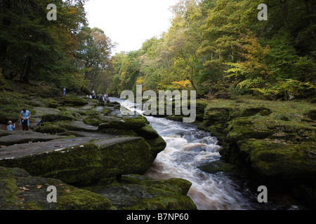 Strid, Bolton Abtei Sept 2008 Stockfoto