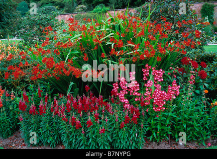 Bunt rot umrandet mit Crocosmia Penstemon und Antirrhinum Holehird Gardens Stockfoto