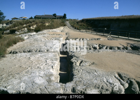 Ashfall Fossilien Betten Nevada USA fossilen Bett Gelände zu einem staatlichen historischen Park Stockfoto