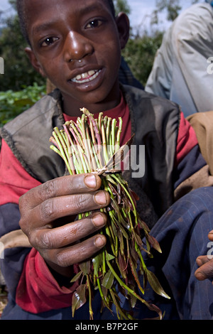 Ein kleiner Junge hält ein Bündel von Miraa auf einem Miraa-Bauernhof. Meru Central Province Kenia. Stockfoto