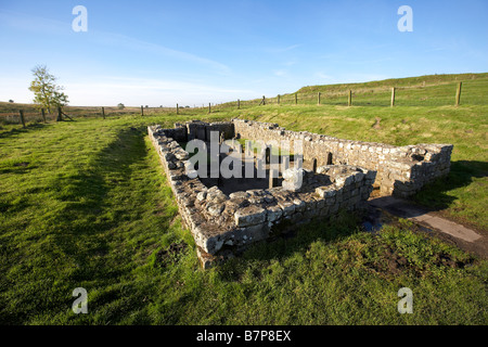 Roman Carrawburgh Tempel des Mithras auf Hadrian s Wand Northumberland England UK Stockfoto