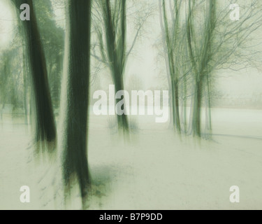 GB - GLOUCESTERSHIRE: Winterszene im Pittville Park in Cheltenham (ICM-Fotografie) Stockfoto