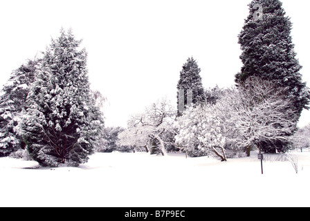 East Dulwich Park im Schnee Stockfoto