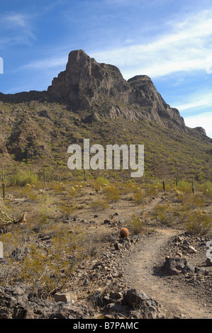 Mit Blick auf den "Peak" Picacho Peak State Park, Arizona Stockfoto