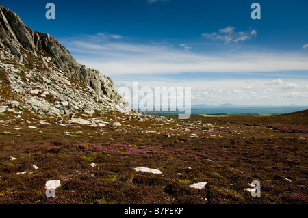 Holyhead Mountain auf der Insel Anglesey mit dem irischen Meer und den walisischen Bergen in der Ferne und Heidekraut im Vordergrund. Stockfoto