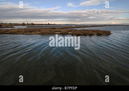 Einen Blick auf die Lagune von Grado am Morgen Stockfoto