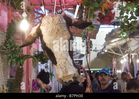 Ein enthaupteten Kuhkopf hängt an einem Metzger Stand auf einem Markt in Meknès, Marokko. Stockfoto