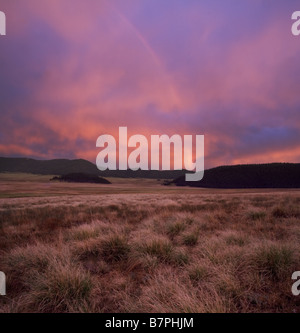 Ein purpurroter Sonnenuntergang und ein Regenbogen über dem Valle Grande, Valles Caldera National Preserve, New Mexiko. Stockfoto