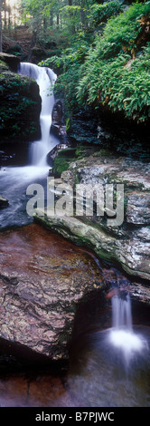 Wasserfälle in Pennsylvania Ricketts Glen State Park Stockfoto