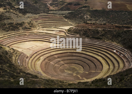 Inca landwirtschaftlichen Terrassen von Moray, Urubamba-Tal, Peru. Stockfoto