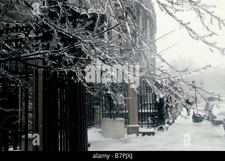 New York City Upper East Side gefrorener Schnee auf dem Boden Und Eis bedeckte Bäume nach einem Wintereissturm Stockfoto