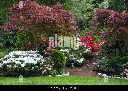 Vashon Island WA: Weg in einem Pacific Northwest Wald Garten mit blühenden Rhododendren und Ahornbäume Stockfoto