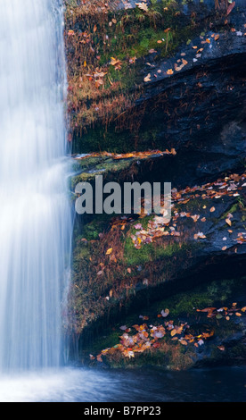 Unteren Bereich des kahlen River Falls in der Cherokee National Forest Tennessee Stockfoto