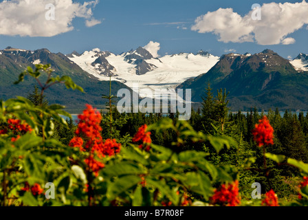 Sommer Szene Grewingk Gletscher und die Kenai-Berge des Kachemak Bay State Park in Yunan Alaska Stockfoto