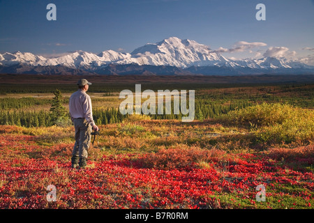 Wanderer-Blick auf Mt. Mckinley & die Alaska Range mit dem Fernglas in der Nähe der Wonder Lake Campground, Denali-Nationalpark, Alaska. Stockfoto