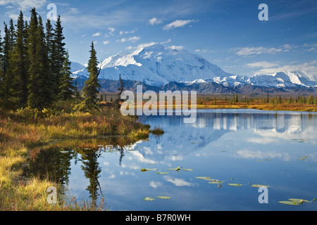 Die Nordwand und Gipfel des Mt. Mckinley spiegelt sich in einem kleinen Tundra-Teich in Denali Nationalpark, Alaska Stockfoto