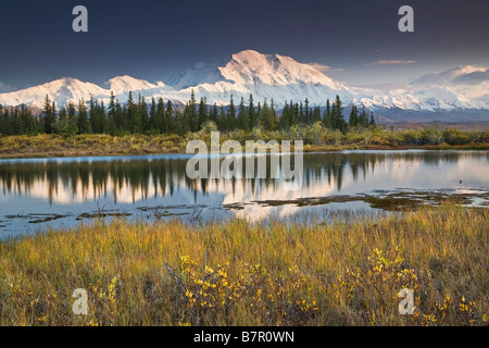 Die Nordwand und Gipfel des Mt. Mckinley spiegelt sich in einem kleinen Tundra-Teich in Denali Nationalpark, Alaska Stockfoto