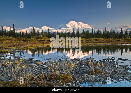 Die Alaska Range und Denali Nordwand spiegeln sich in kleinen Tundra-Teich im Denali-Nationalpark, Alaska. Herbst 2008 Stockfoto