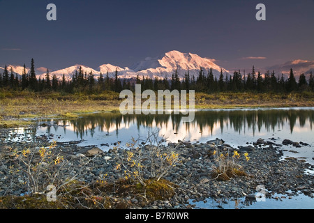 Die Alaska Range und Denali Nordwand spiegeln sich in kleinen Tundra-Teich im Denali-Nationalpark, Alaska. Herbst 2008 Stockfoto