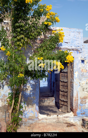 traditionellen Brahmanen blau gemaltes Haus in die Gassen der alten Stadt jodhpur Stockfoto