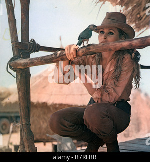 Die Southern Star Jahr: 1969-uk Ursula Andress Regie: Sidney Hayers, Orson Welles Stockfoto