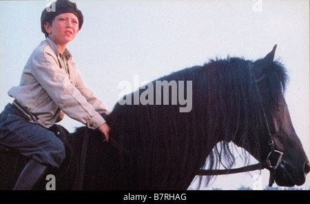 Der schwarze Hengst Jahr: 1979 USA Regie: Carroll Ballard Kelly Reno Stockfoto