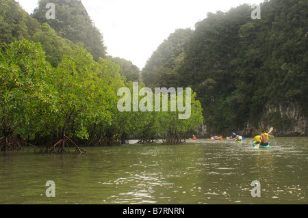 Kajakfahren in Ao Nalene Mangroven in Thailand Stockfoto