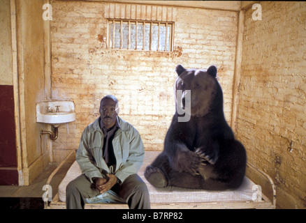 Dr. Dolittle 2 Jahr: 2001 USA Regie: Steve Carr Eddie Murphy Stockfoto