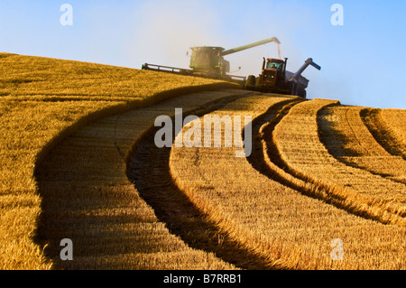 Ein Mähdrescher entlädt geernteten Weizen in einem Traktor gezogen Getreide Wagen am späten Nachmittag in der Palouse Region Washington Stockfoto