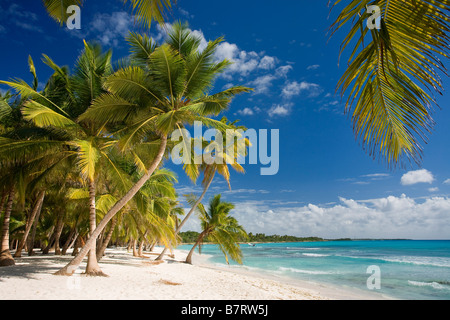 STRAND AUF ISLA SAONA PARQUE NATIONAL DEL ESTE DOMINIKANISCHE REPUBLIK KARIBIK Stockfoto