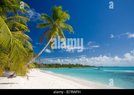 STRAND AUF ISLA SAONA PARQUE NATIONAL DEL ESTE DOMINIKANISCHE REPUBLIK KARIBIK Stockfoto