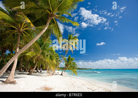 STRAND AUF ISLA SAONA PARQUE NATIONAL DEL ESTE DOMINIKANISCHE REPUBLIK KARIBIK Stockfoto