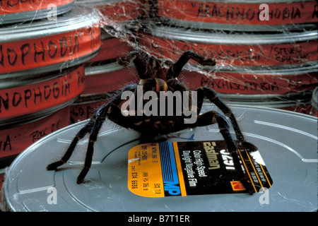 Arachnophobie Arachnophobia Jahr: 1990 USA Regie: Frank Marshall Stockfoto