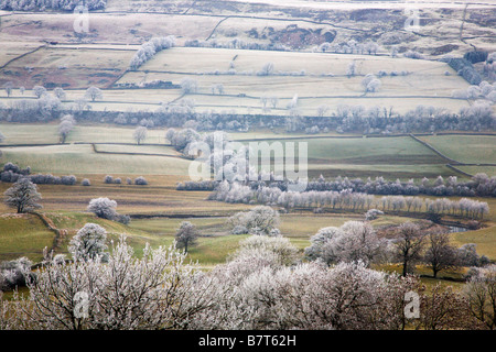 Frostigen Tag in Wensleydale Yorkshire Dales England Stockfoto