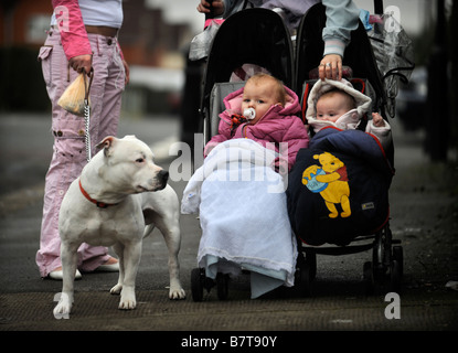 ZWEI JUNGE MÜTTER MIT BABYS UND EIN STAFFORDSHIRE BULL TERRIER IN DER SOUTHMEAD DISTRICT OF BRISTOL UK Stockfoto